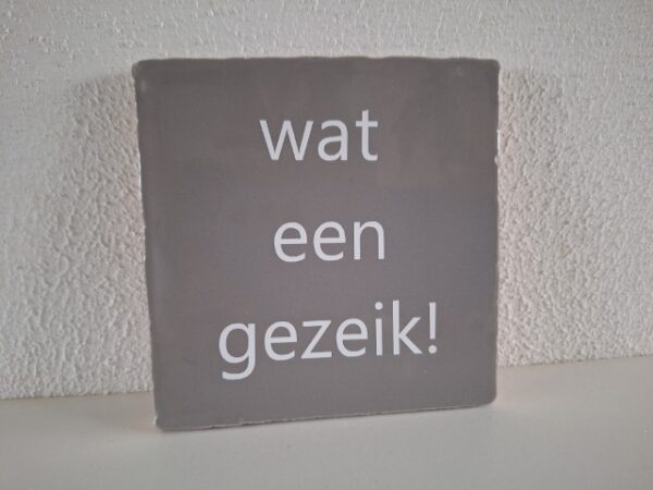 Keramische Tegel 10x10 met opdruk wat een gezeik
